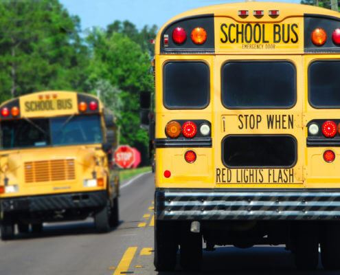 school-busses-495x400 school-busses-495x400