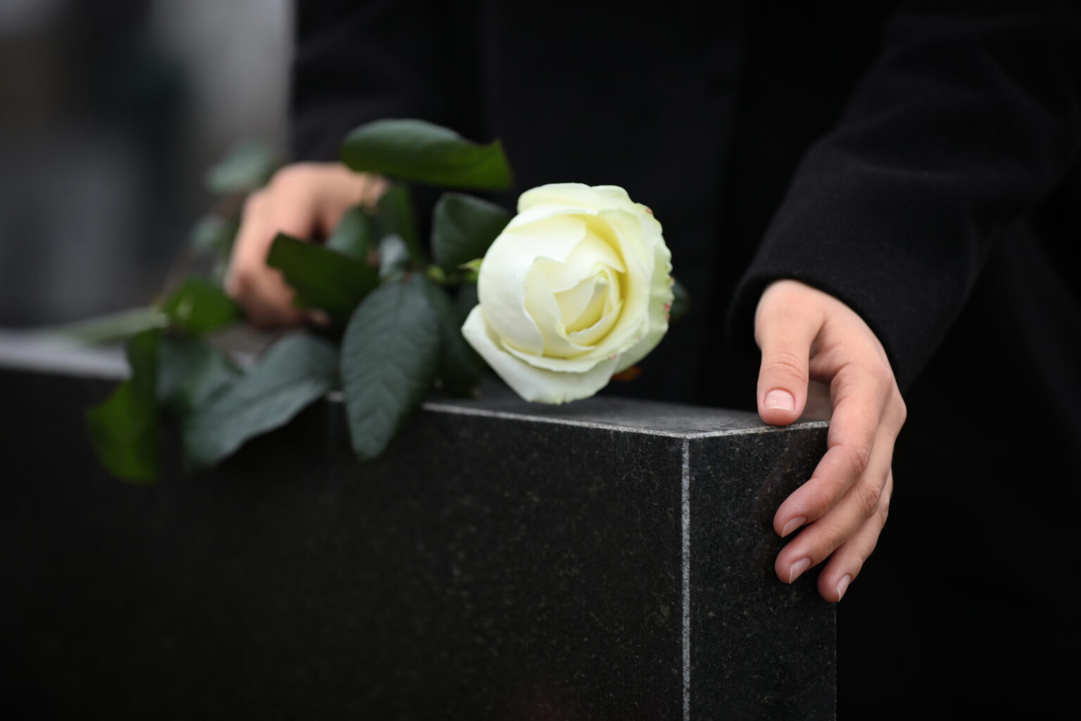 Woman,Holding,White,Rose,Near,Black,Granite,Tombstone,Outdoors,,Closeup.