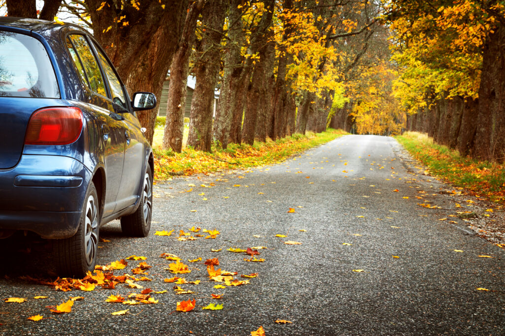 Car,On,Asphalt,Road,On,Autumnr,Day,At,Park