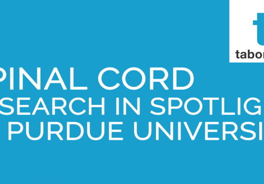 Spinal-Cord-Purdue-Research-thumb-724x380-100705