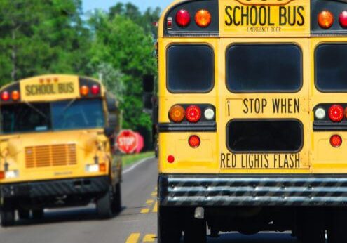 school-busses-495x400