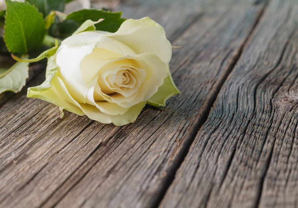 white-rose-on-a-table-man-funeral-flowers